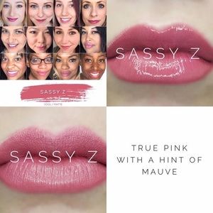 Brand New & Sealed Sassy Z LipSense